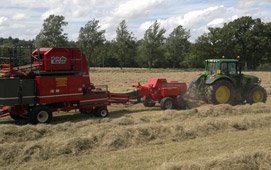 HAY & STRAW